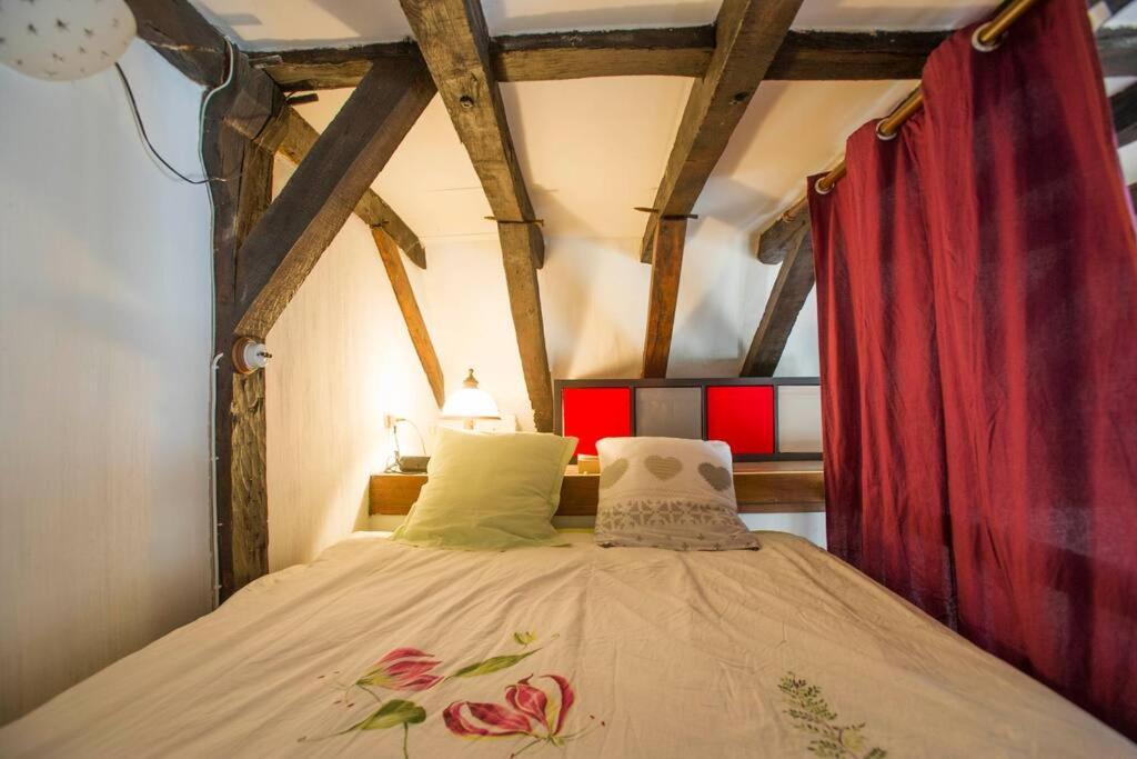 Appartement De Caractere Au Coeur Du Vieux Tours Bagian luar foto